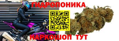 амф Кандалакша