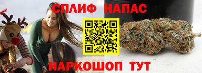 амф Кандалакша
