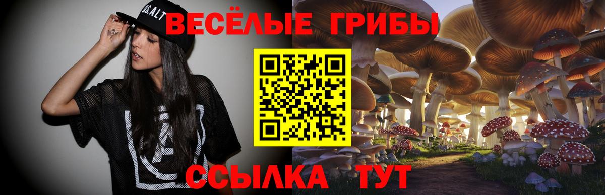 Кисловодск  Псилоцибиновые грибы ЛСД  Вход с VPN 